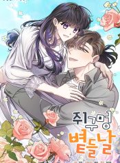 The Sunny Day in the Rat Hole