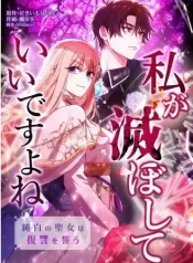 You Don’t Mind If I Destroy This Kingdom Right The Pure White Saintess Vows Revenge